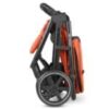 ABC Designs - Avus- Carrot - Image 4